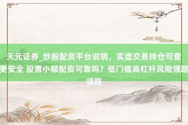 天元证券_炒股配资平台说明，实盘交易持仓可查更安全 股票小额配资可靠吗？低门槛高杠杆风险领路
