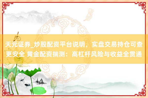 天元证券_炒股配资平台说明，实盘交易持仓可查更安全 黄金配资揣测：高杠杆风险与收益全贯通