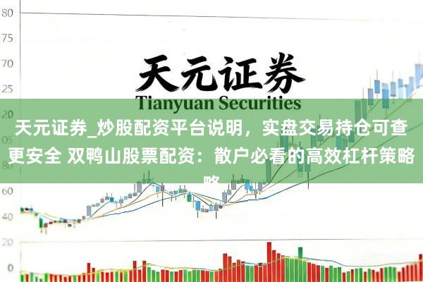 天元证券_炒股配资平台说明，实盘交易持仓可查更安全 双鸭山股票配资：散户必看的高效杠杆策略