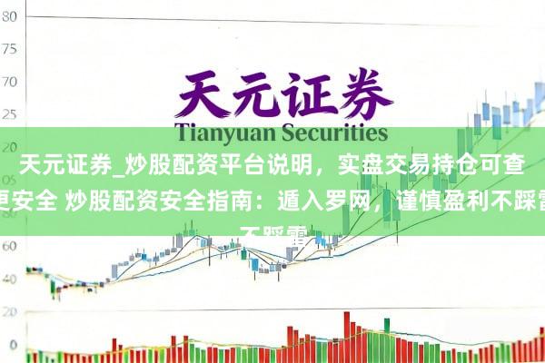 天元证券_炒股配资平台说明，实盘交易持仓可查更安全 炒股配资安全指南：遁入罗网，谨慎盈利不踩雷